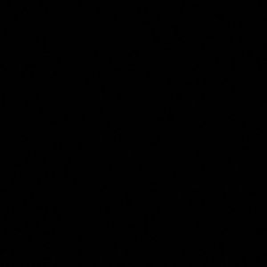 Meet your Posher, Janiya